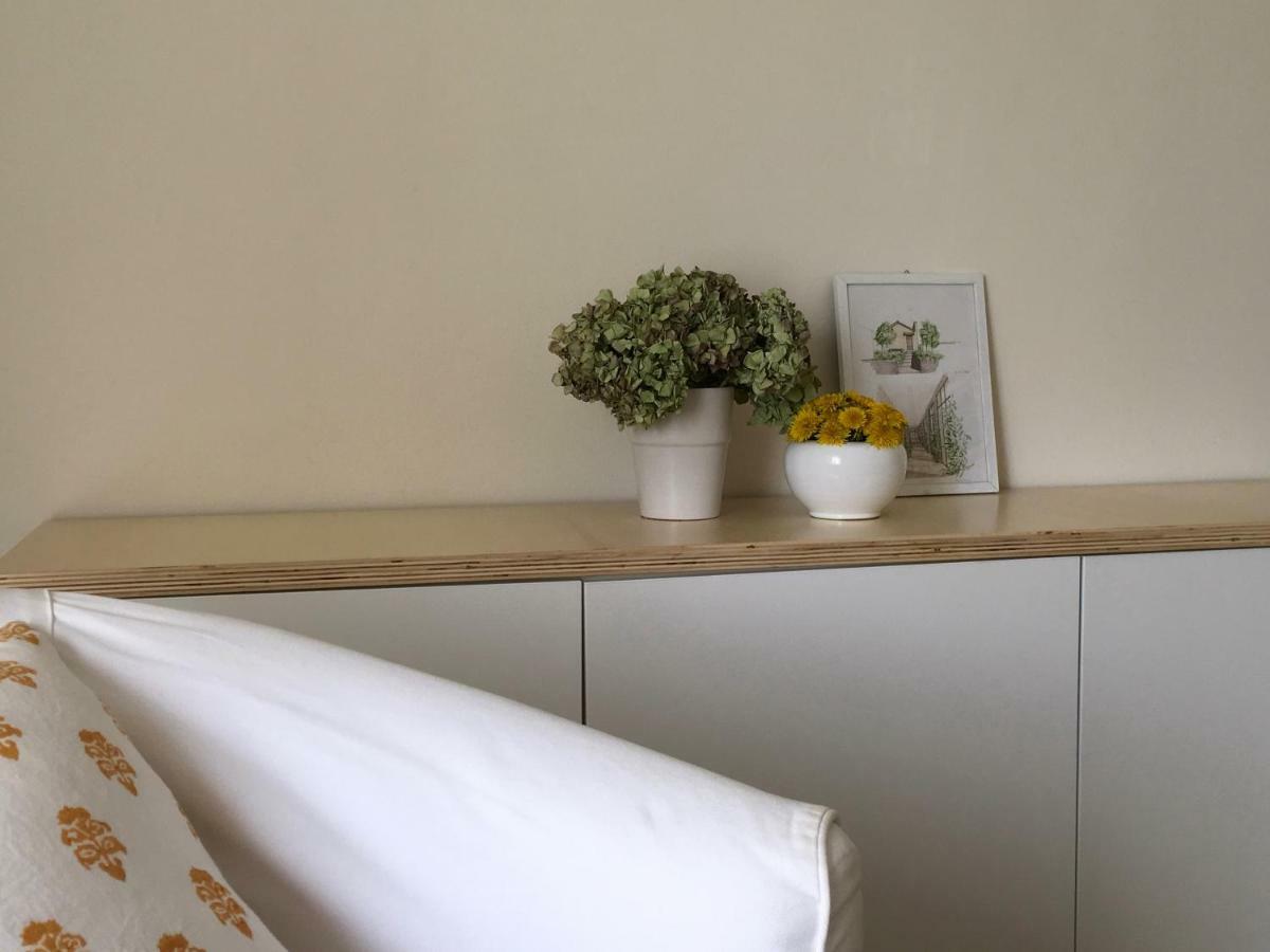 House&Garden Apartment ซานโดนาโต มีลาเนเซ ภายนอก รูปภาพ