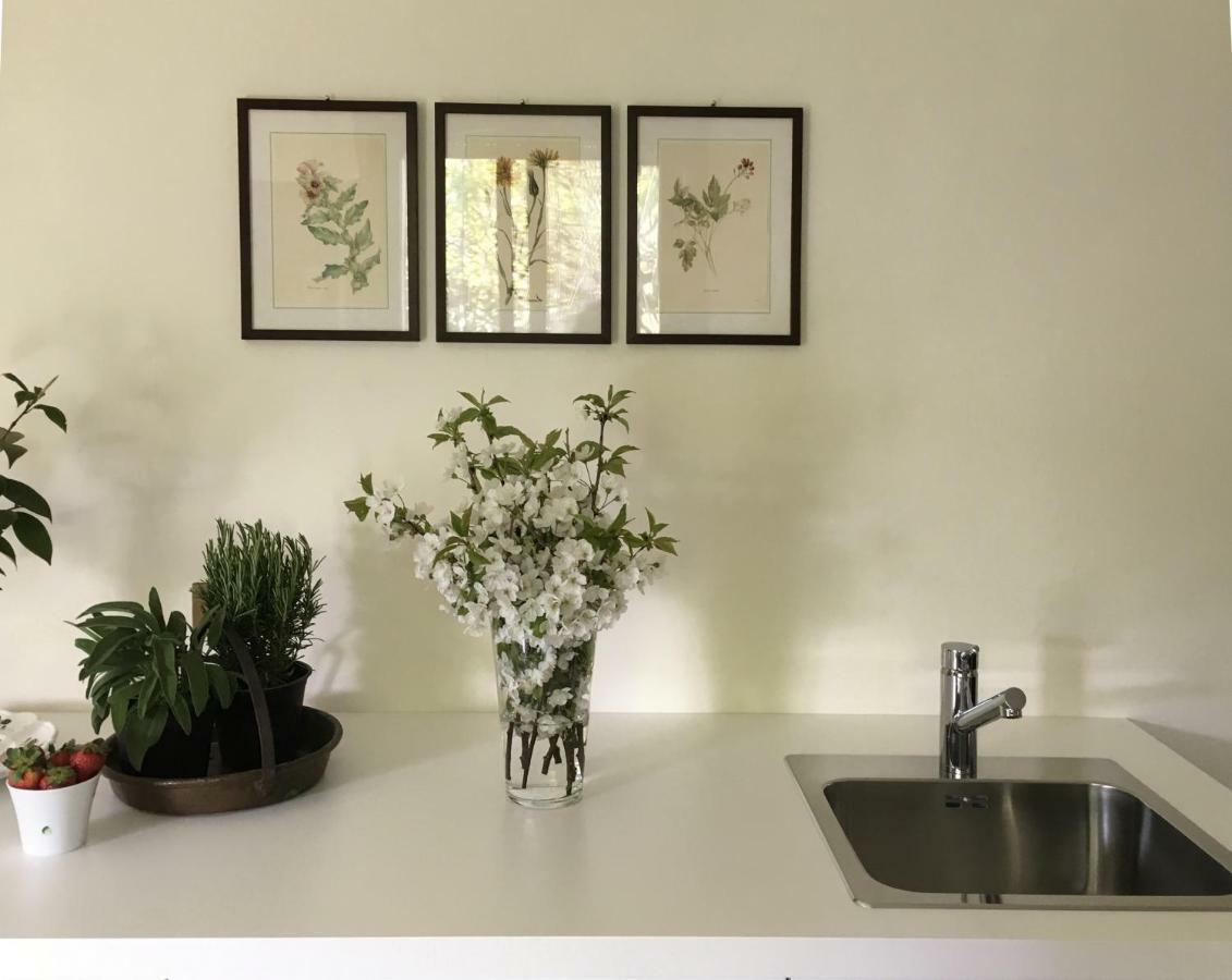 House&Garden Apartment ซานโดนาโต มีลาเนเซ ภายนอก รูปภาพ